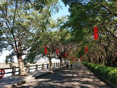 -大湾区中央湿地公园