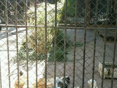 -昆明动物园