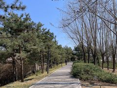 -大望京公园