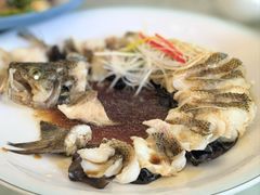 -博雅渔港·融合菜(维也纳国际大酒店)