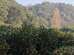 -西湖风景区十里琅珰-五云山