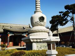 -天津大悲禅院