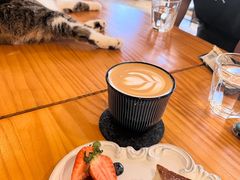 -LOOKA COFFEE(大鹏所城店)