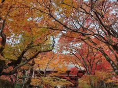 -常寂光寺