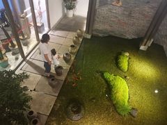 -几荷·恰似故人来(秀水广场店)