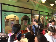 -猫咪博物馆(顶澳仔猫街店)