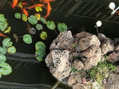 -大连步云山老汤度假山庄