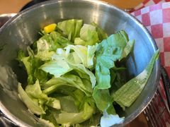 -DM CHICKEN 分米鸡