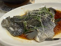 -百乐门喜宴(海珠广场华厦店)