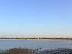 -江滩湿地公园