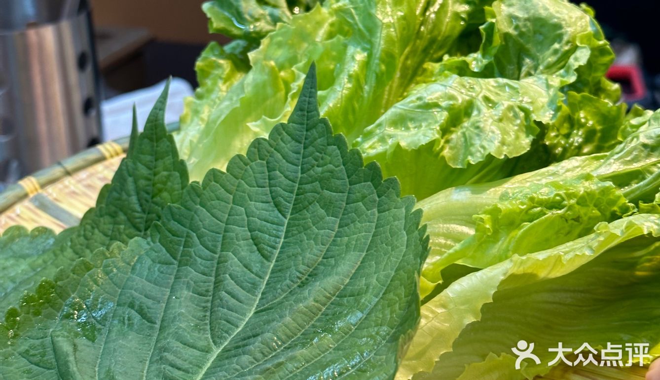 超正宗的韩式料理店，烤青花鱼超好吃‼️爱惨了