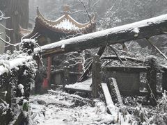 -东天目山风景区