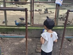 -哈尔滨北方森林动物园