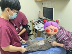 -美联众合动物医院·24h京西诊疗中心