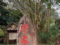 -野象谷景区
