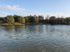 -海珠湖公园