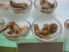 -半岛翡丽海鲜自助餐厅(观风亭店)