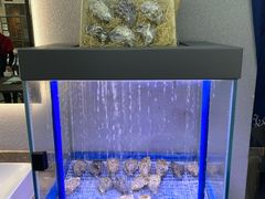 水产区-蚝山·喷汽火山生蚝(前福路店)