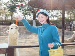 -盈香心动乐园