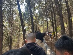 -白佛山景区