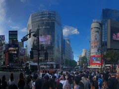 -涩谷全向十字路口