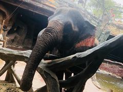 -长鹿旅游休博园