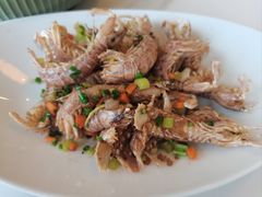 -魚當家