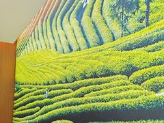 -湘邻呷铺·田园家宴(汉基广场店)