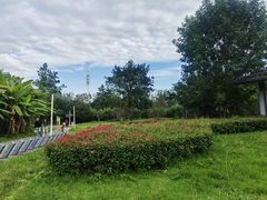 -白鹭湾湿地公园