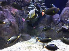 -成都浩海立方海洋公园