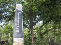 -青龙山国家森林公园