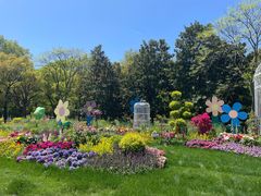 -上海共青森林公园