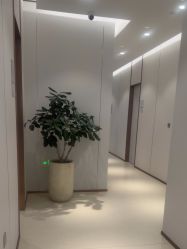 -禾丽康美医疗美容医院