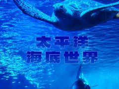 -太平洋海底世界