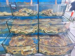 水产区-渔中舟海鲜大排档(普陀沈家门店)