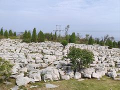 -原山国家森林公园