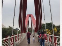 -玉树公园