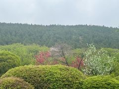 -云龙山
