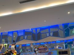 -帝企鹅自助餐厅•儿童岛•真企鹅(长隆企鹅酒店)