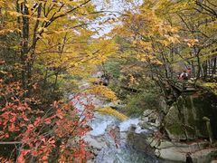 -光雾山旅游景区