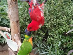 -南宫五洲植物乐园