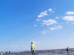 -呈贡滇池生态湿地公园