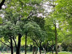 -东山湖公园