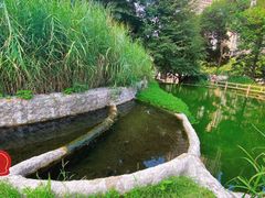 -成都市活水公园