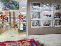 -翊宠yipet猫狗购宠庄园犬舍•猫舍