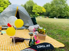 -上海共青森林公园