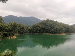 -广州市流溪河国家森林公园