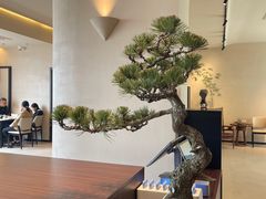 -马头巷·食景园(苏州总店)