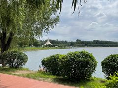 -丁香湖公园