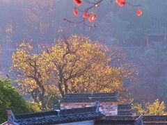 -塔川景区